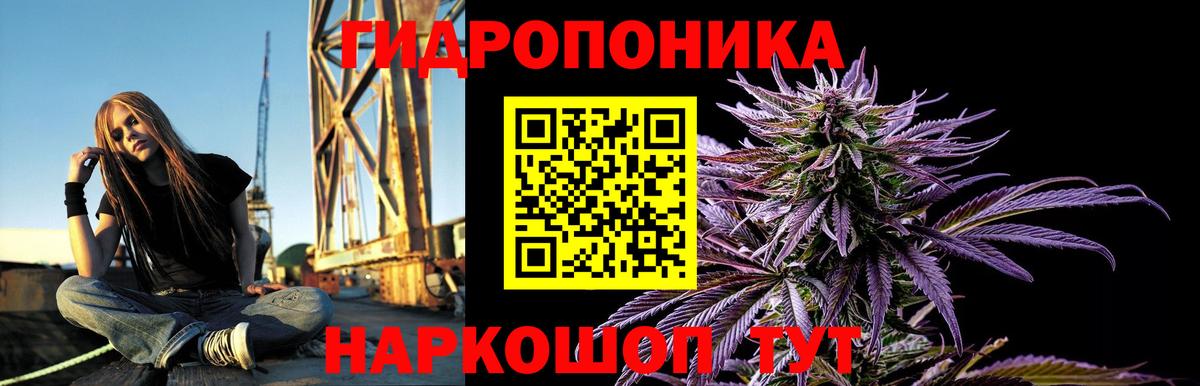 Каннабис тримм  Вход с VPN  Конопля White Widow  Кинель  Конопля Amnesia 